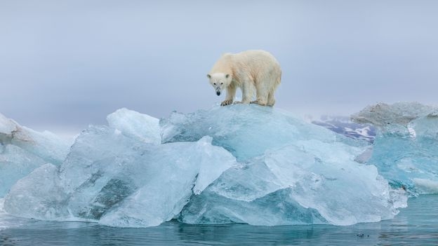 An ethical guide to last-chance tourism