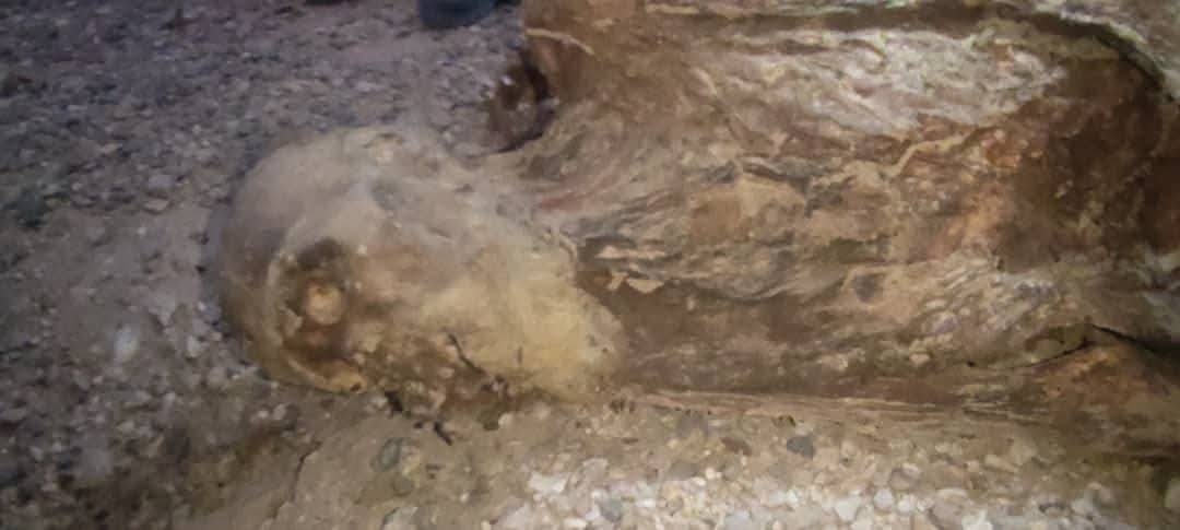 العثور على 'مومياء' بشرية خلال تنقيب عشوائي عن الذهب في موقع أثري بالجوف