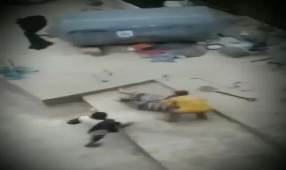 الكشف عن تفاصيل جريمة قتل مروعة هزّت محافظة إب