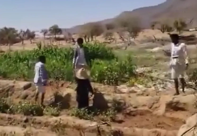 صعدة.. مليشيا الحوثي تعتدي على إمراة مسنة بوحشية أمام أنظار ولدها