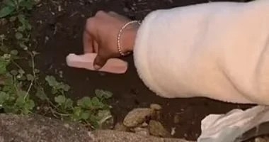 دفن الهوت دوج قبل حفل زفاف ببريطانيا أغرب تريندات التيك توك.. اعرف قصته
