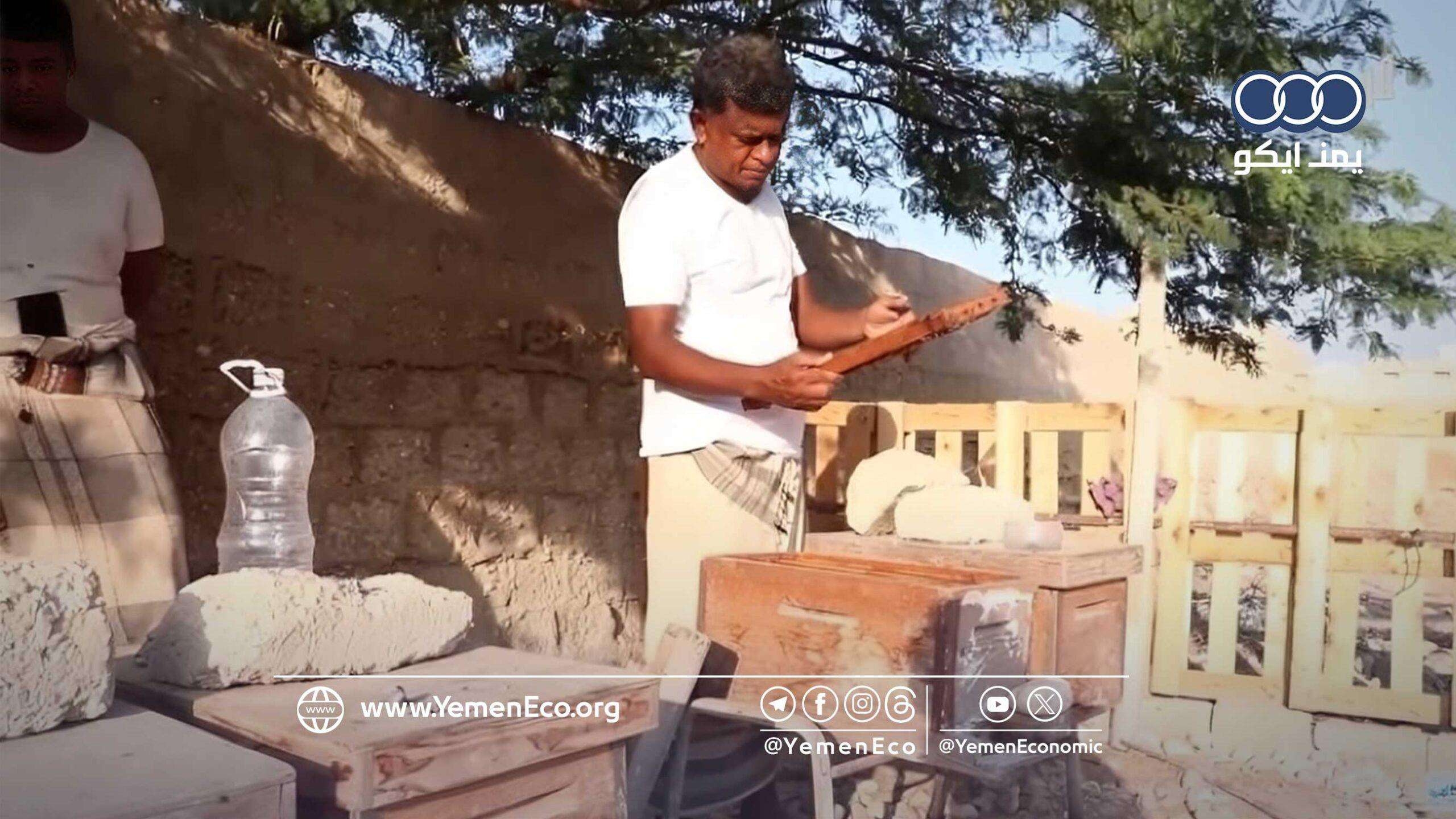 تعرف على أبرز الصعوبات التي تواجه مربي النحل في المهرة!