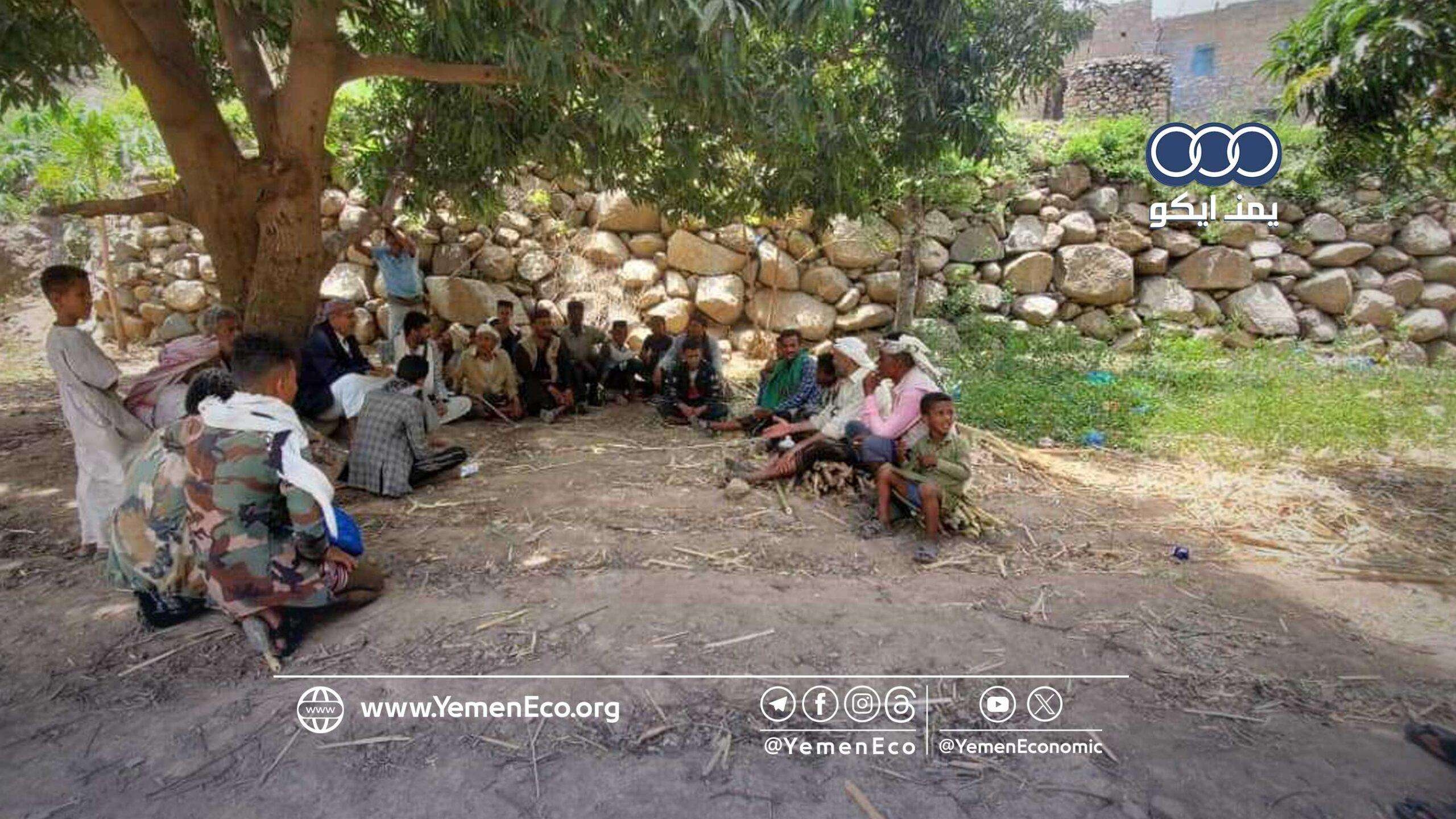 تعز: مدرسة حقلية جديدة بوادي نخلة شرعب السلام لتأهيل المزارعين